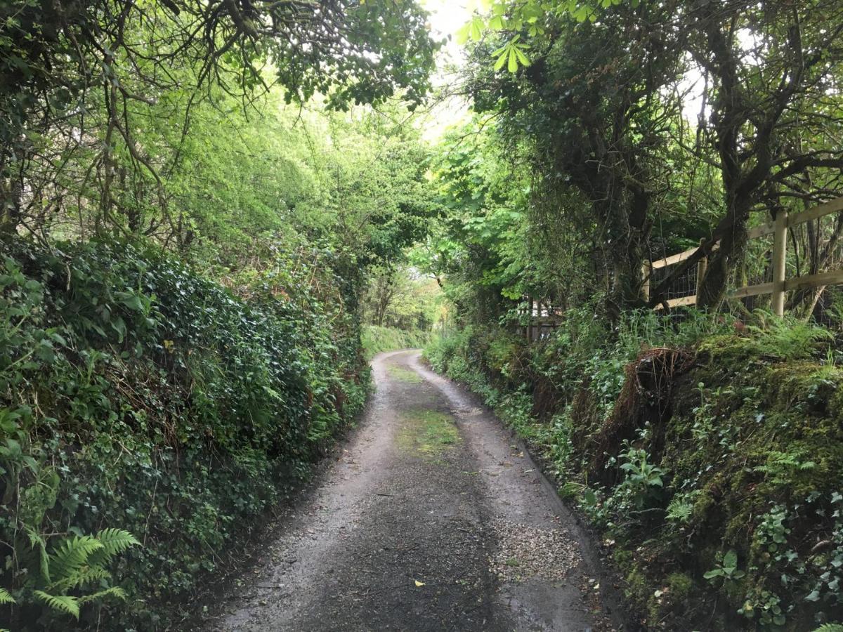 Higher Trenear Farm B&B ヘルストン エクステリア 写真