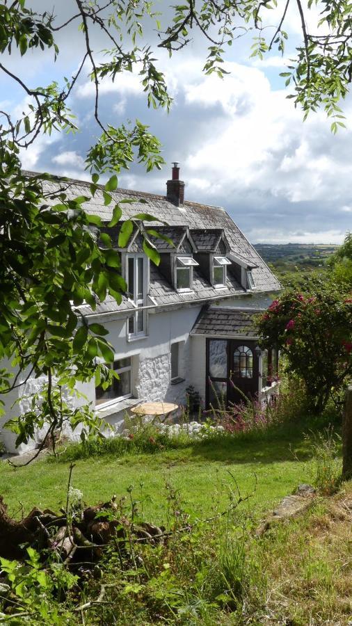 Higher Trenear Farm B&B ヘルストン エクステリア 写真