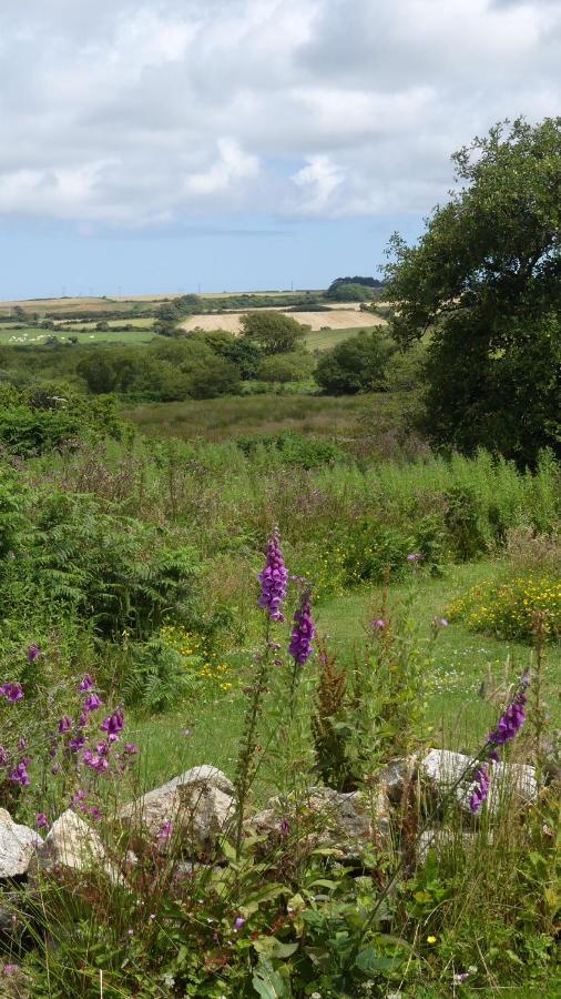 Higher Trenear Farm B&B ヘルストン エクステリア 写真